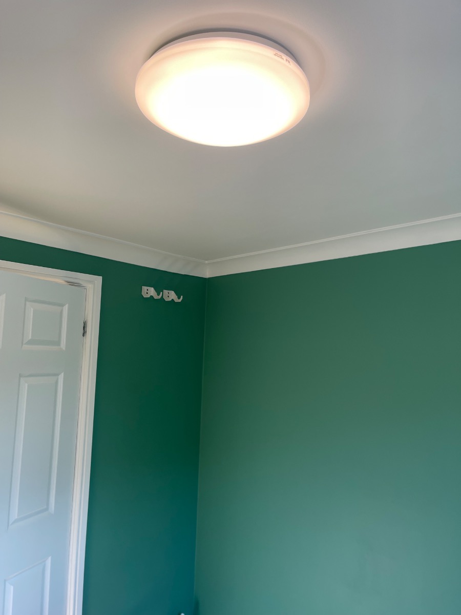 Painter and Decorator: Image 5